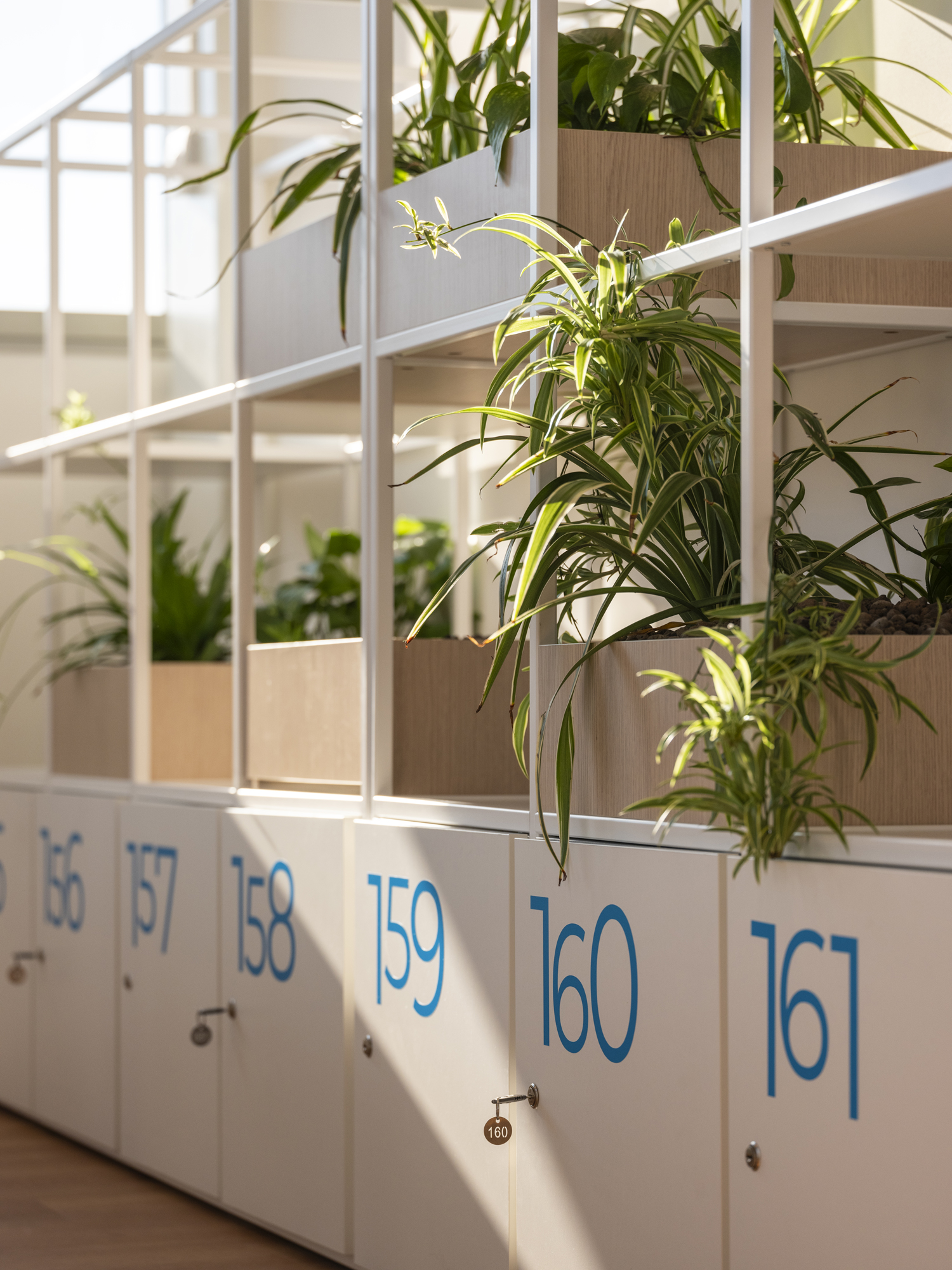 Plenitude + Be Charge Offices, Milan. Detail of white numbered lockers with key locks, integrated into a modular structure with wooden planters and green indoor plants in a bright office environment.