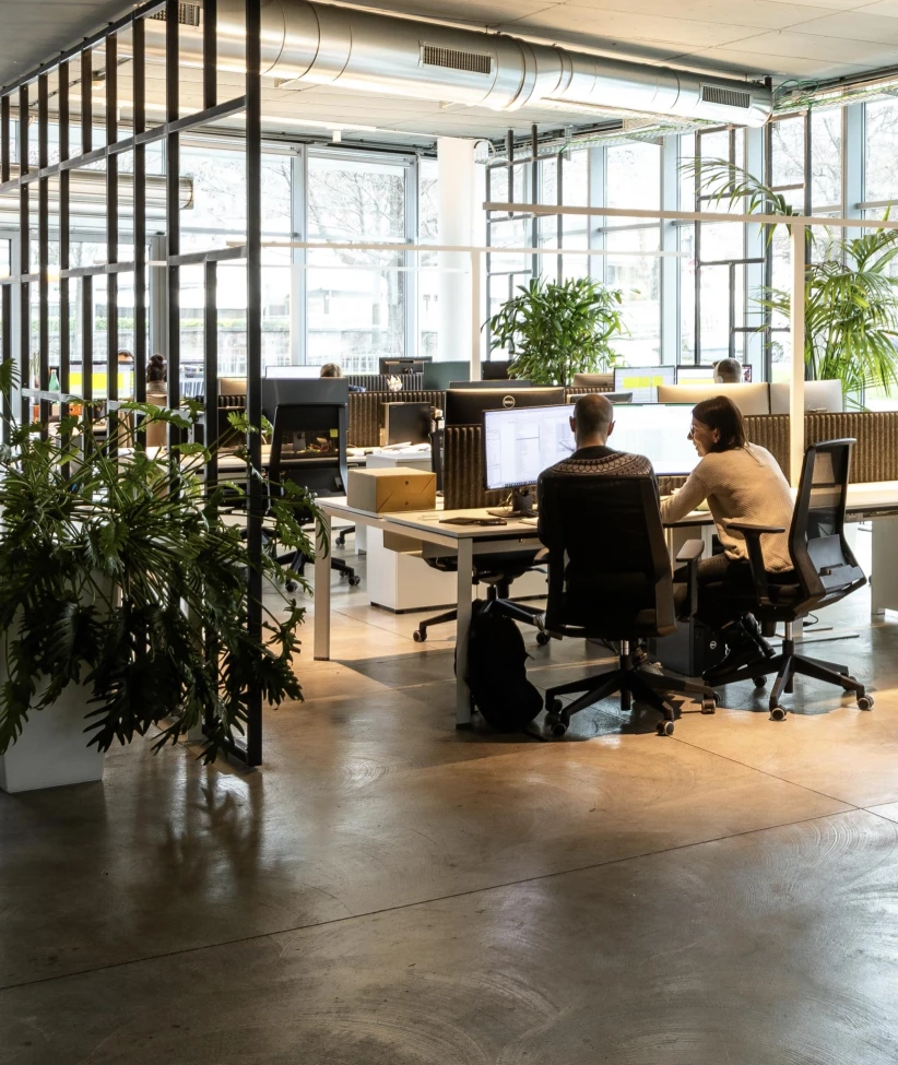 Bright, modern open-plan office with workstations, large windows, and decorative plants. Two colleagues collaborate at a computer, while other professionals work in a well-organized and welcoming space that fosters teamwork and well-being.