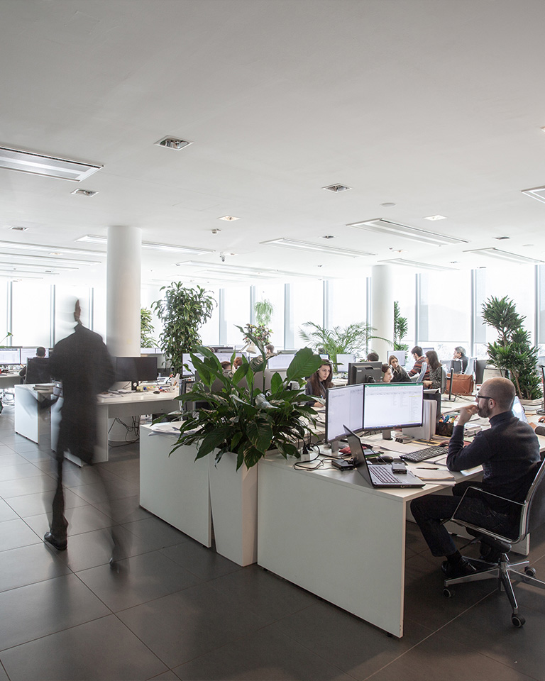Bright open-plan office with workstations, people at computers, and numerous green plants.