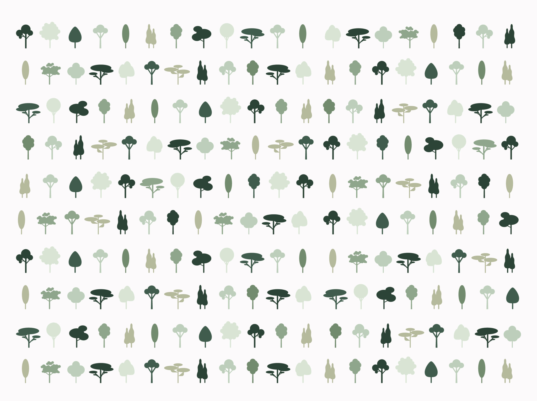 Foresta DVArea, progetto di piantumazione di 200 alberi, uno per ciascun collaboratore, realizzato in collaborazione con Treedom